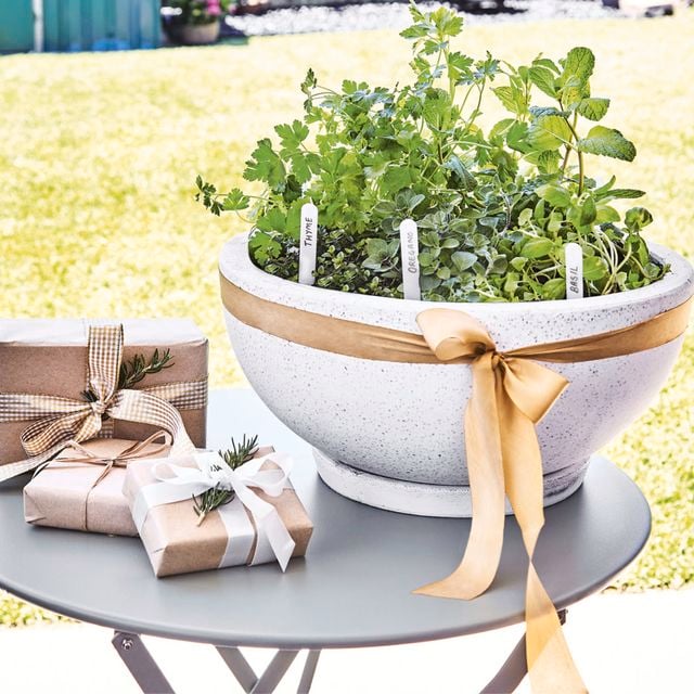 Presents wrapped and next to a pot of herbs