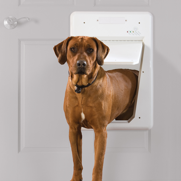 Electronic Smartdoor Large Dog Door Microchip Activated PetSafe