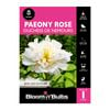 Bloomin' Bulbs Paeony Rose Duchess De Nemours 1 Pack