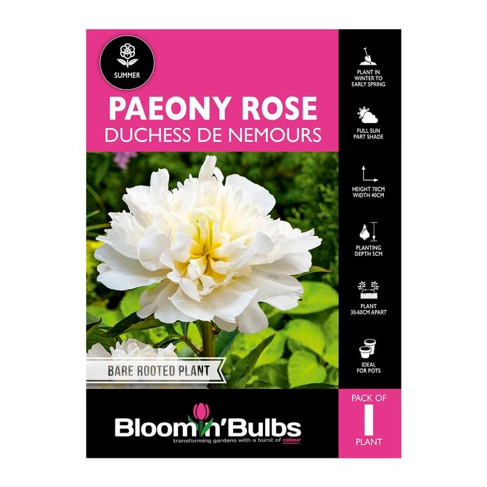 Bloomin' Bulbs Paeony Rose Duchess De Nemours 1 Pack