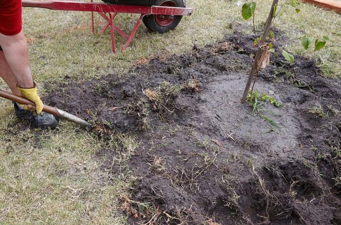 The ground around an existing garden bed being dug up to make room for sleepers
