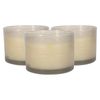 Nicola Spring Scented Candles 350g - Green Pomelo & Passion Fruit Pack Of 3 Double Wick Sweet Fruity Scent Long Burn Fragrance