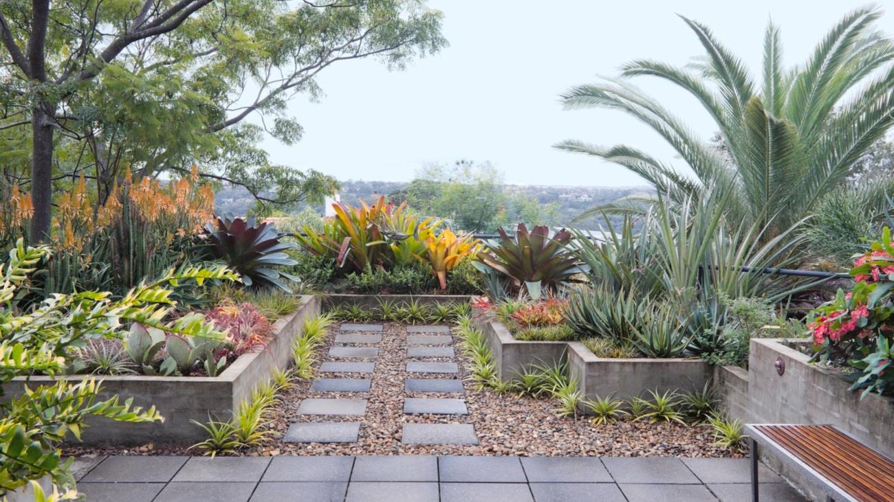 Outdoor area with pavers, retaining walls and plants.