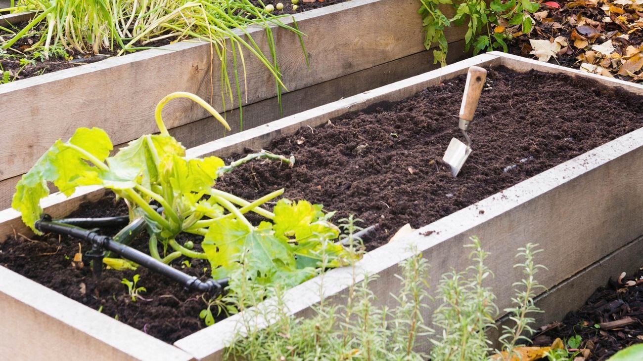 Raised vegetable bed with gardening tools