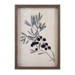 Maine & Crawford Delilah Collection 35x25cm Olive Branch Frame Wall Art