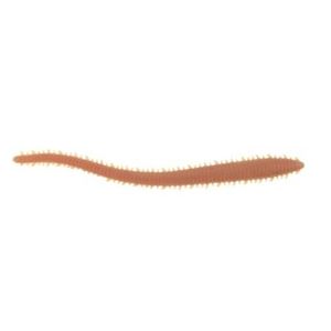 Berkley Gulp Sandworm 6" Soft Plastic Fishing Lure Natural