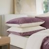 Gioia Casa Twin-Pack Teddy Sherpa Standard Pillowcases – Reversible, Zipper Closure, Machine Washable (48x73cm, Mauve)