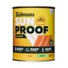 Taubmans 1L Accent Gloss Sunproof Exterior Paint