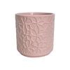 Astin Sinclair 155 x 165mm Peach Blush Flower Ceramic Pot