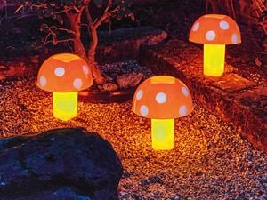 Mushroom lampshades in a garden next to a tree.