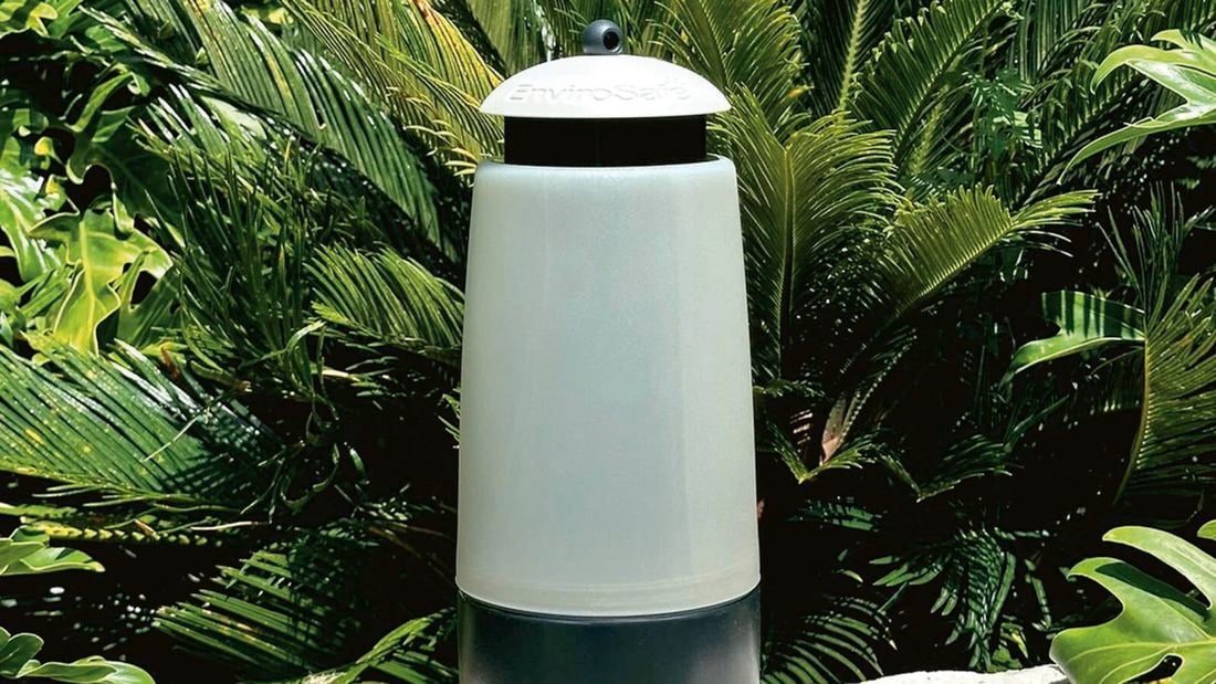 An EnviroSafe outdoor white fly trap against a backdrop of palms and other greenery.
