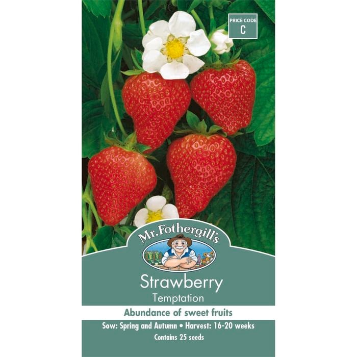 Mr Fothergill's Strawberry Temptation Seeds