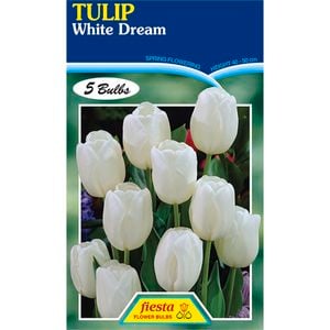 Tulip White Dream - 5 Bulbs