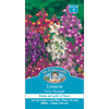 Mr Fothergill's Linaria Fairy Bouquet Seeds