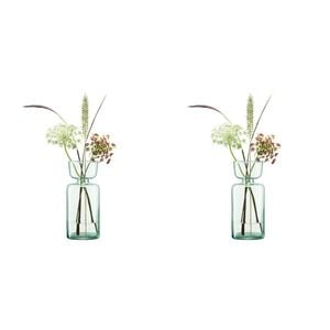 2x LSA International Canopy Vase/Bulb Enclosed Garden Home Planter Clear 20cm