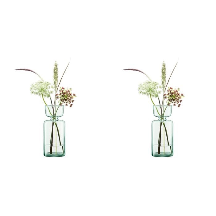 2x LSA International Canopy Vase/Bulb Enclosed Garden Home Planter Clear 20cm