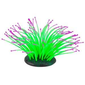 Kazoo Silicone Plant - Sea Anemone Green (19651)