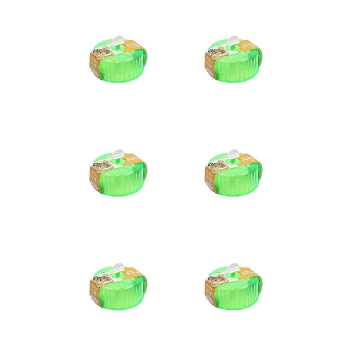 6PK Dudley's World Of Pets Medium Pet Exercise Wheel Green
