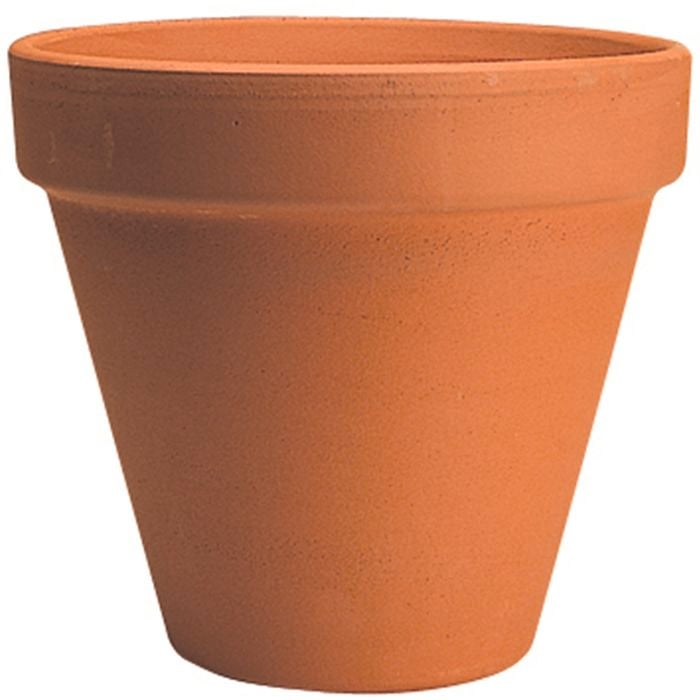 Northcote Pottery 23cm Terracotta Italian Standard Pot
