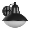 Brilliant Black Jamison Traditional Coach Light