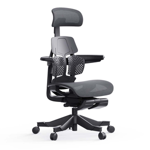 Shappa Paddy - Premium Ergonomic Office Chair Black