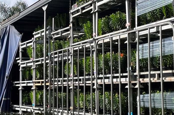 Assorted small plants in a truck ready for delivery