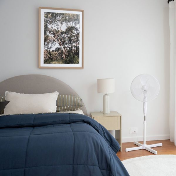 Bright, modern bedroom with a neatly made bed featuring blue bedding, a bedside table with a lamp, a white pedestal fan beside floor-to-ceiling sheer curtains, and framed wall art above the bed.