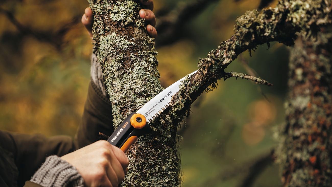 A person holding a pruning saw on a tree branch.
