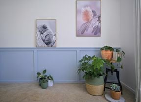 Wainscotting wall with green decorative pot plant holders