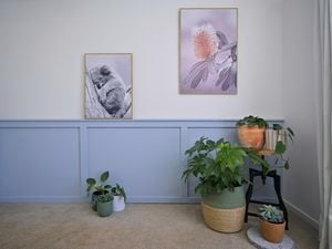 Wainscotting wall with green decorative pot plant holders