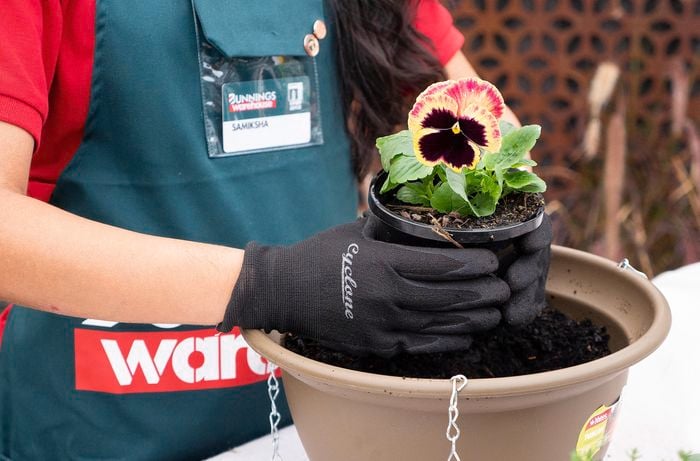 Bunnings Team Member placing a young potted flower in a larger pot