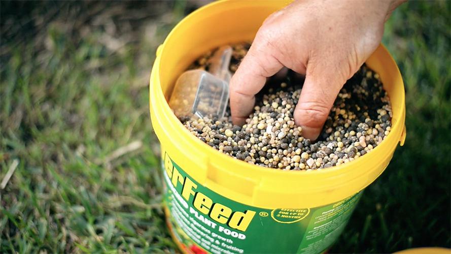 Close up of hand in a pot of Power Feed fertiliser