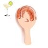 Catzon Cocktail Strainer 304 Stainless Steel with Spring-Rose Gold