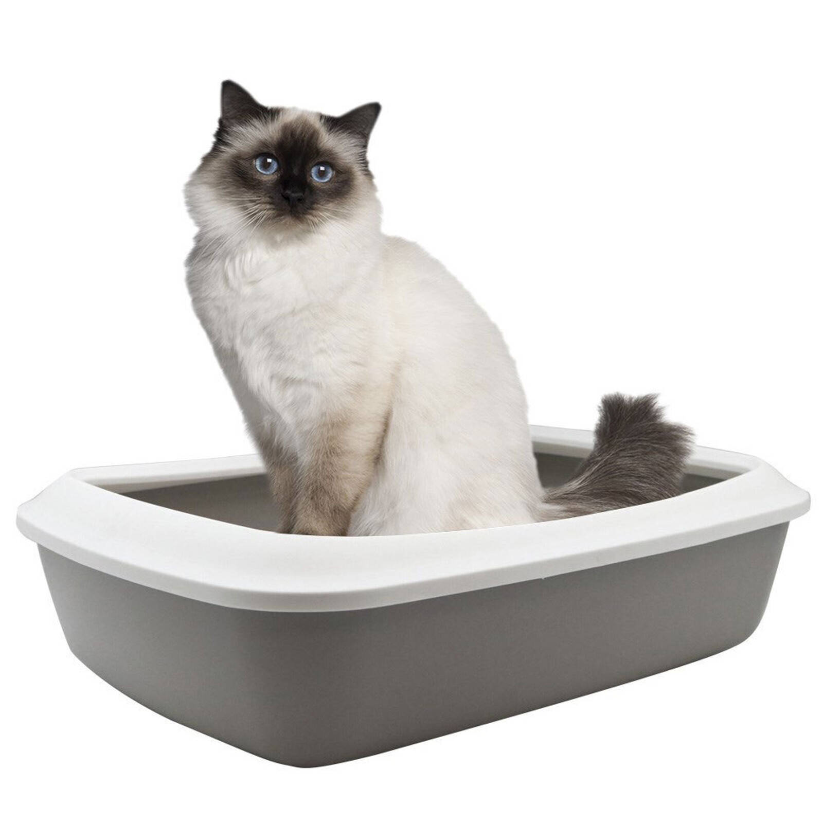 Cat litter tray bunnings sales