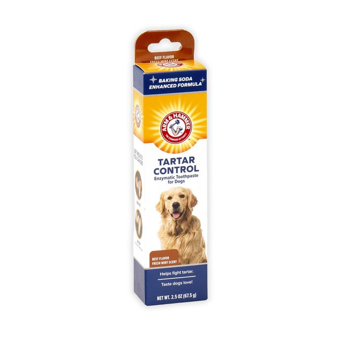 Arm & Hammer Tartar Control Beef Toothpaste