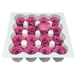 Blooms of Joy 2.5cm Rose Wine Spray Roses 16 Pack