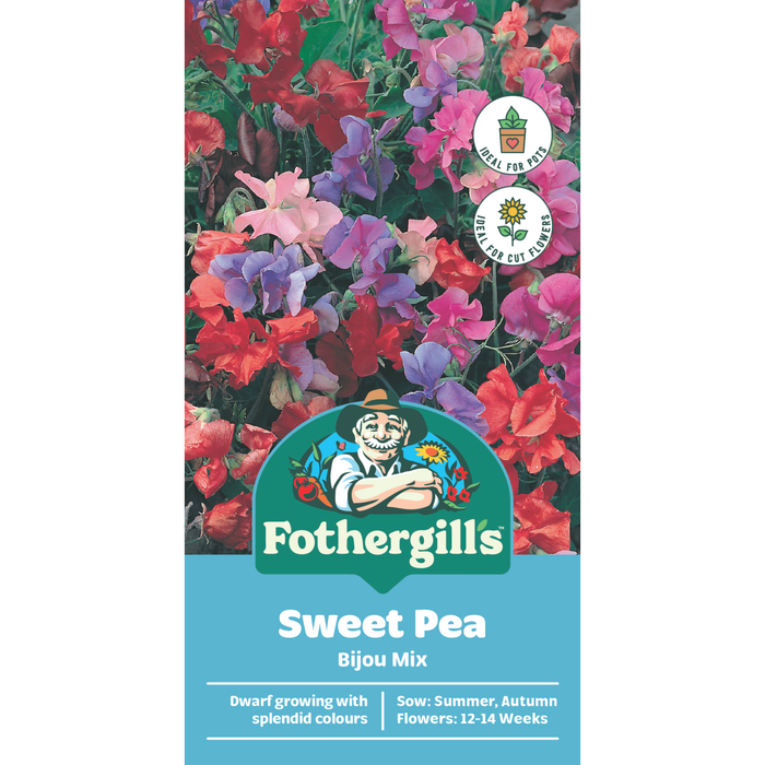 Fothergill's Sweet Pea Bijou Mixed Flower Seeds