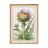 Lvd Natural Wood Framed Vintage Thistle Print Wall Hanging Decor 50x70cm