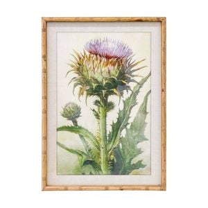 Lvd Natural Wood Framed Vintage Thistle Print Wall Hanging Decor 50x70cm