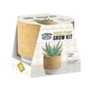Mr Fothergill's House Plant Grow Kit - Coral Aloe