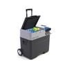 ACOPOWER LiONCooler Pro Battery Cooler, 50 Liters 12V Car Freezer with APP Control