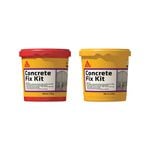 Sika 1L High Strength Epoxy Repair Adhesive Concrete Fix Kit