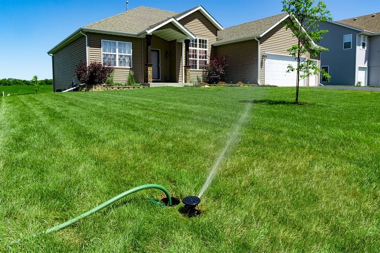 Water spraying out of a pop-up sprinkler on the front lawn of a house