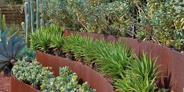 Garden with rust garden edging