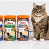 Inaba Churu 200 Tube Variety Bundle Cat Treats | 4 x 50 Tube Tubs