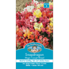 Mr Fothergill's Seed Snapdragon Magic Carpet