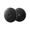 Everfit 10kgx2 Weight Plates Set
