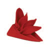 Lollipop Cotton Napkin - Red