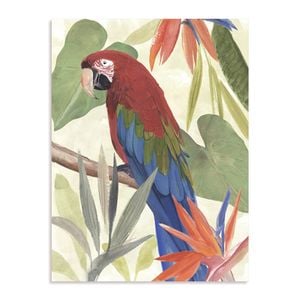 Artey | Tropical Parrot Composition III - Stretched Canvas - Stretched Canvas - 112 x 150cm