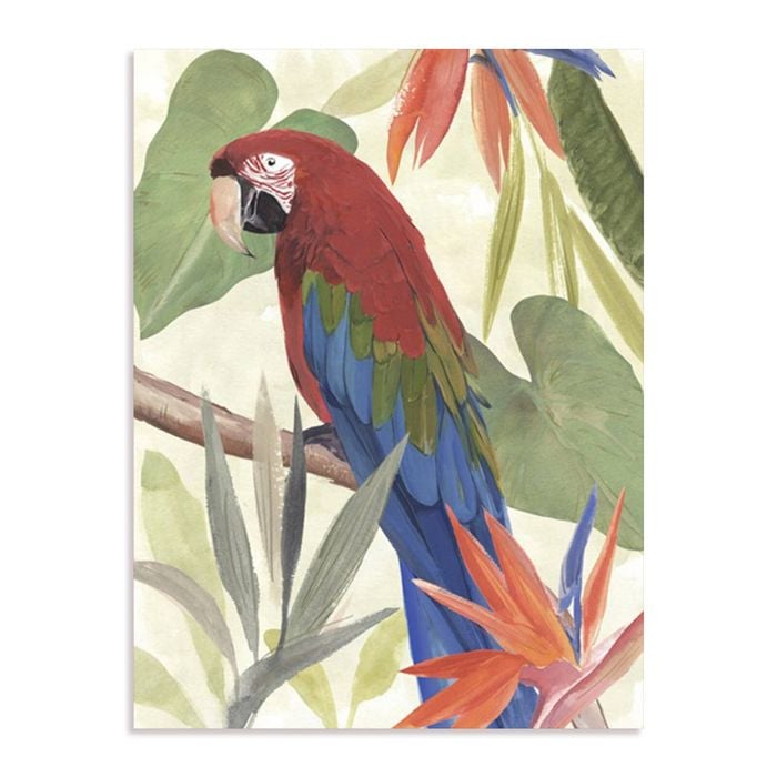 Artey | Tropical Parrot Composition III - Stretched Canvas - Stretched Canvas - 112 x 150cm